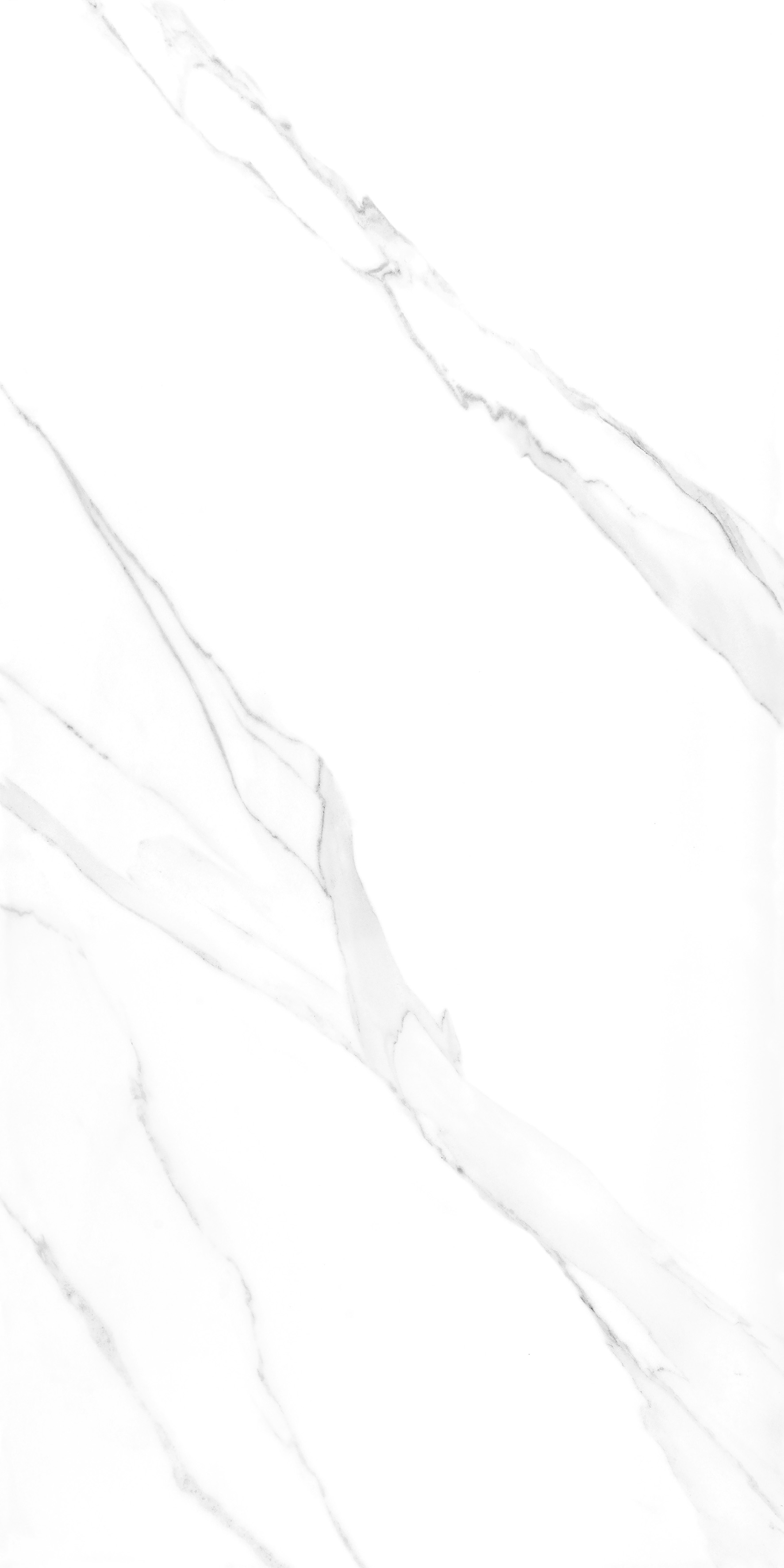 Porcelain Tile 60x120 NEO STATUARIO ( MATT)